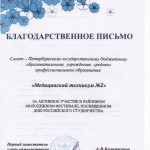 Благодарственное письмо за участие в районном молодежном фестивале